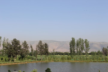 lake in the forest Lebanon