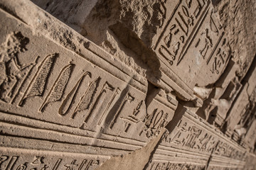 Egypt memoirs