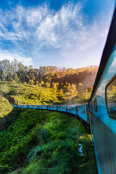 to the jungle on a Blue train from Ella