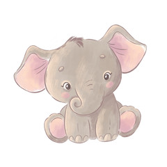 Cute baby elephant