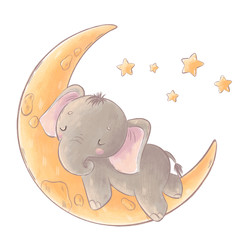 Cute baby elephant sleep on the moon