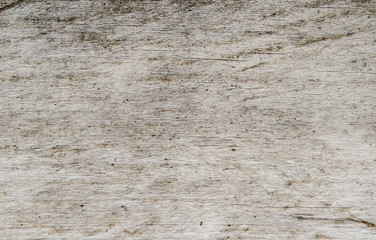 Textura de madera antigua color gris blanquecina/Old wood texture whitish gray color