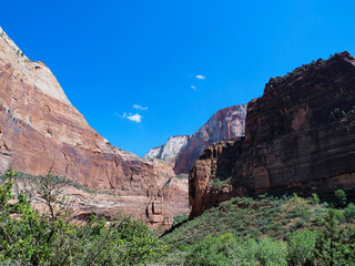 Fototapeta premium Zion National Park in Utah