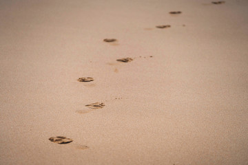 Fototapeta na wymiar Sandy beach with footprints