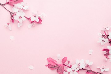 Fototapeta na wymiar Cherry tree blossom. April floral nature and spring sakura blossom on soft pink background. Banner for 8 march, Happy Easter with place for text. Springtime concept. Top view. Flat lay.