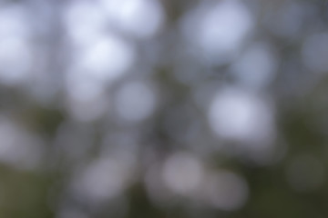 Blurred bokeh on a green background