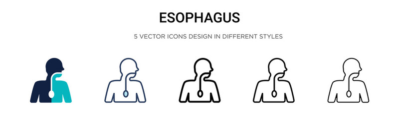 Esophagus icon in filled, thin line, outline and stroke style. Vector illustration of two colored and black esophagus vector icons designs can be used for mobile, ui, - obrazy, fototapety, plakaty