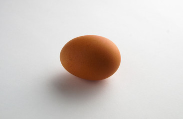 brown chicken egg on a white background