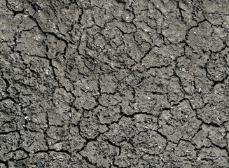 texture of the gray earth with cracks after the earthquake