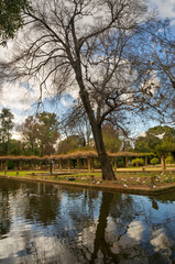 Near Spain Square is the Maria Louise Park, where there are a lot of beautiful pigeons on trees and paths - a local attraction