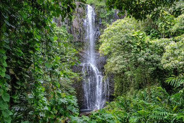 Fototapeta na wymiar waterfall, road to hana, maui, hawaii
