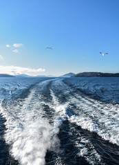 Vacaciones en Bariloche, Patagonia Argentina 