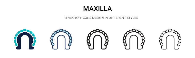 Maxilla icon in filled, thin line, outline and stroke style. Vector illustration of two colored and black maxilla vector icons designs can be used for mobile, ui, © Digital Bazaar