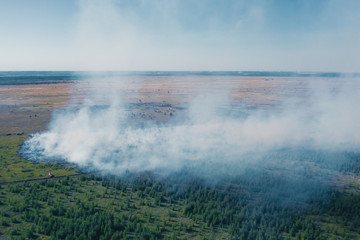 Aerial view of controlled bushfire or fire in forest among green fields, drone shot from above.