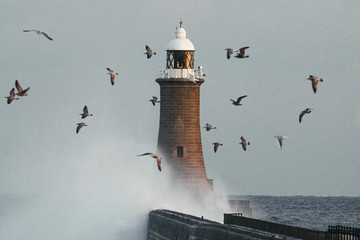 Lighthouse during the sunset