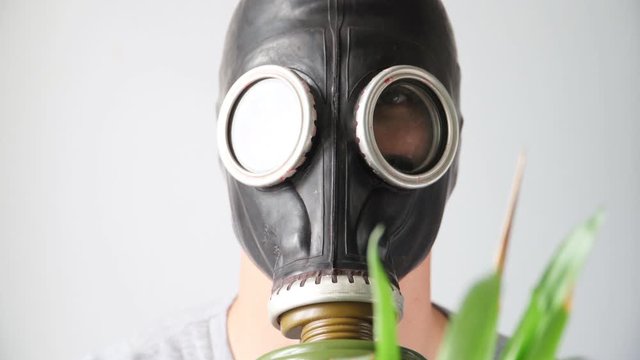 guy in gas mask on white background holding in his hand a withering flower. The concept of ecological catastrophe