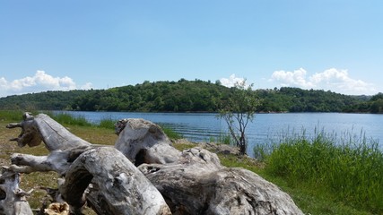 Lac et bois flott&eacute;s