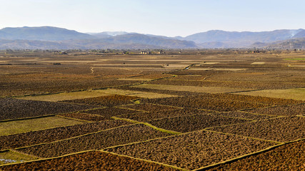 Terres cultiv&eacute;es dans les hautes-terres de Madagascar