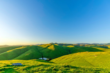 Grass Fields in Hills with Cow Pond 