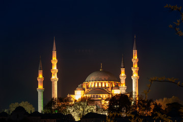 Fototapeta na wymiar Fatih, Istanbul, Turkey, 21 April 2006: Suleymaniye Mosque, Sultan Suleyman 1557