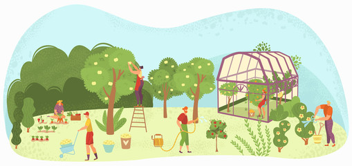 Garden care people gardening, harvesting and caring for trees, plants in plant-house and flowers gardeners flat vector illustration. People care, planting, and watering, agiculture and nature.