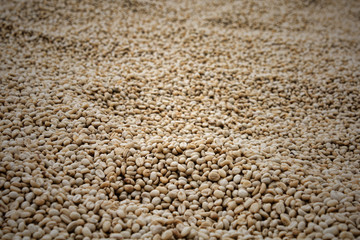 Coffee beans background