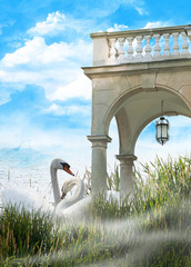 Fototapete bei efototapeten.de bestellen   