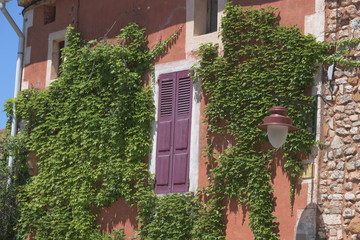 window with flowers