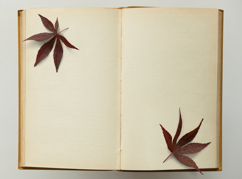 Open vintage book with maple leaves