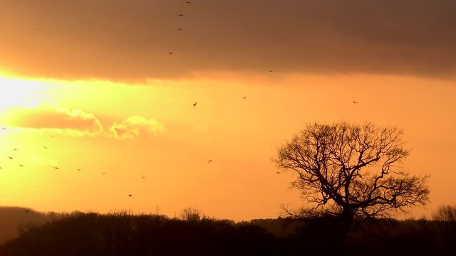 Golden sunset over English countryside time lapse UK 4K