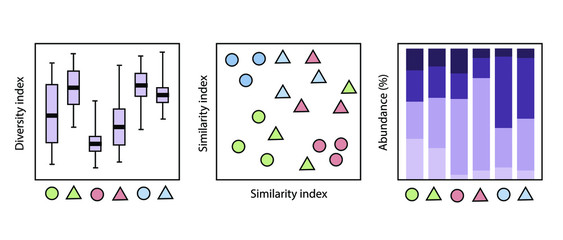 Vector illustration of a simple representation of community analysis figures. Alpha diversity, beta diversity and composition graphs and statistics