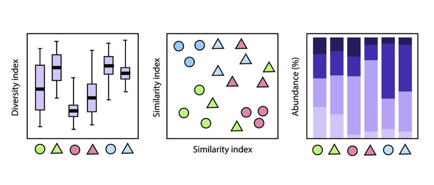 Vector illustration of a simple representation of community analysis figures. Alpha diversity, beta diversity and composition graphs and statistics
