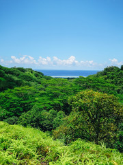 Cook islands view