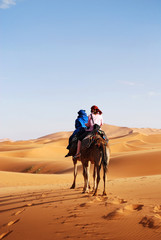 Caravan of Camels in The Sahara Desert