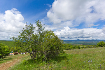 Obraz premium Spring Landscape of Cherna Gora mountain, Bulgaria