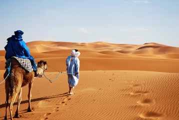 Man Leading Camel Through The Sahara Desert - obrazy, fototapety, plakaty