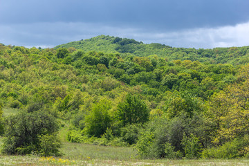 Fototapeta na wymiar Spring Landscape of Cherna Gora mountain, Bulgaria