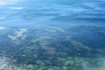 Beautiful photo of blue sea water with waves photographed close-up