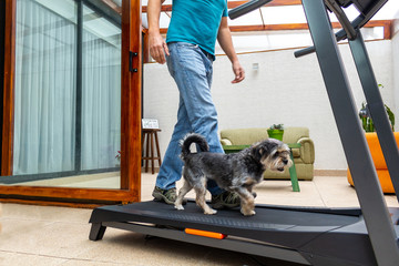 Man walking his dog on a treadmill inside his house