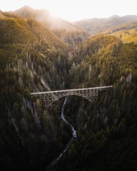  Landscape photo with bridge and forest © rawpixel.com