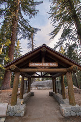 The trailhead entrance to the General Sherman Tree trail in Sequoia National Park in California. 