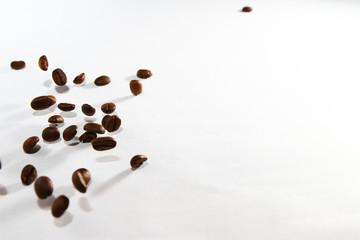 Roasted coffee bean on white background
