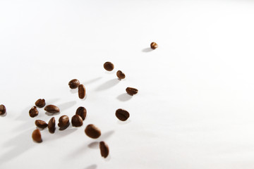 Roasted coffee bean on white background
