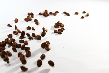 Roasted coffee bean on white background