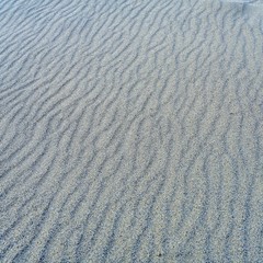 鳥取砂丘で見た風紋＠鳥取