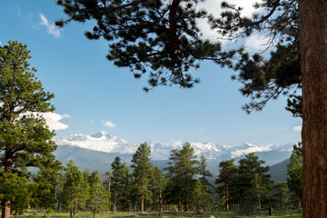 trees in the mountains clouds in denver colorado