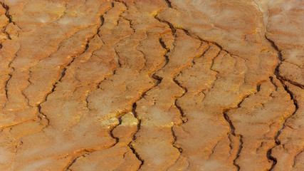 Cracked dry soil