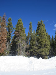 Colorado Colorful Sky 9