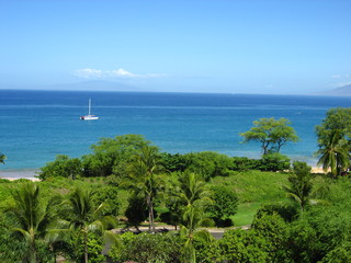 tropical island beach with palm trees and sea