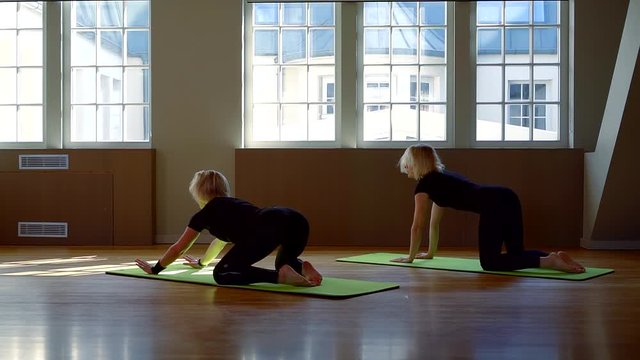 two barefoot women are dressed in black athletic clothing and sitting on gym mats. they arch their back and return to the baby position. the camera moves around